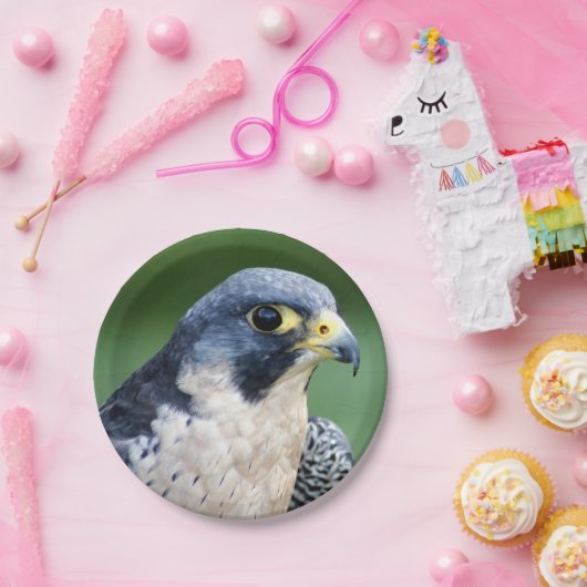 ハヤブサの顔の写真 ペーパープレート (パーティー)