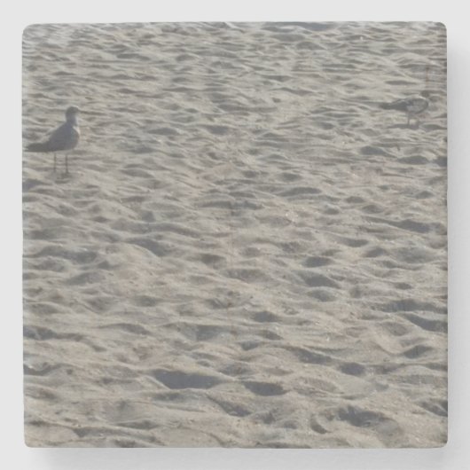 ハヤブサの飲み物コースター ストーンコースター (正面)