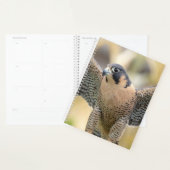 ハヤブサ2026プランナー｜ハドソンバレー ワイルド プランナー手帳 (ディスプレー)