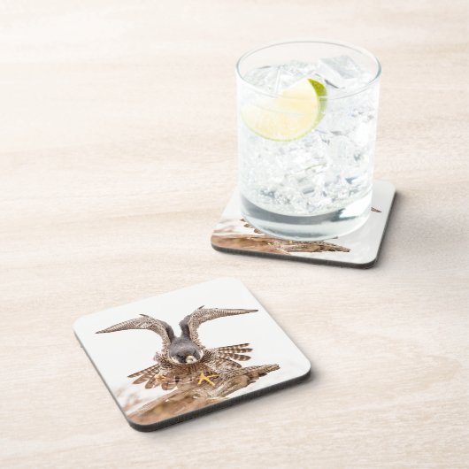 ハヤブサ コースター (右側)