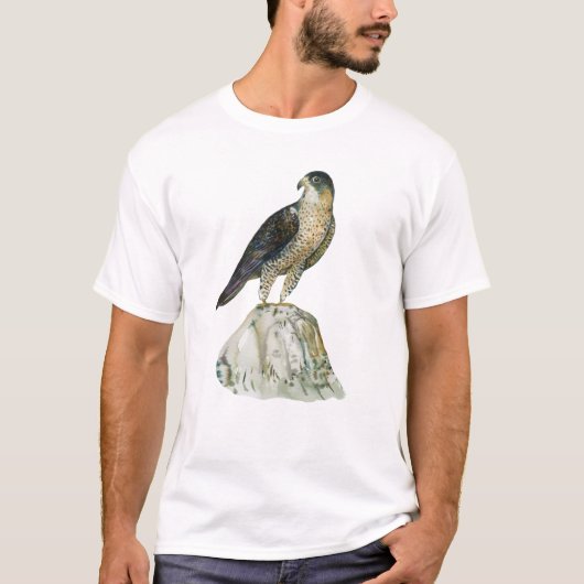 ハヤブサ メンズTシャツ Tシャツ (正面)