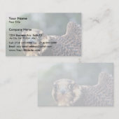 ハヤブサ 名刺 (正面/裏面)