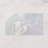 ハヤブサ 名刺 (裏面)