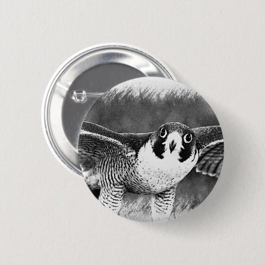 ハヤブサ 缶バッジ (正面&裏面)