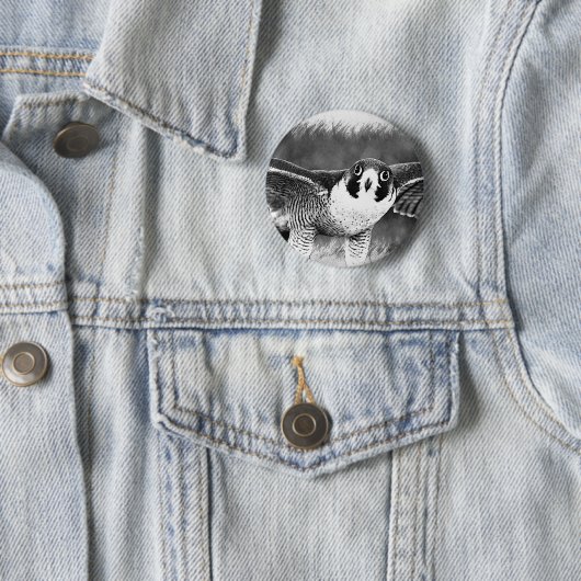 ハヤブサ 缶バッジ (インサイチュ)