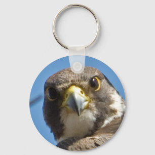 ハヤブサKeychain キーホルダー