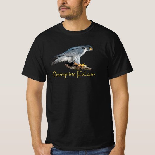 ハヤブサTシャツ Tシャツ (正面)