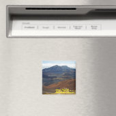 ハラカ火山マグネット マグネット (インサイチュ (食洗機))