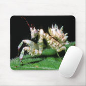 ハラタケカマキリのクローズアップ マウスパッド (マウス)