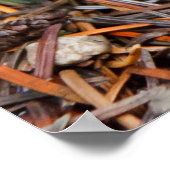 ハラタケ ポスター (角)