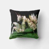 ハラビロカマキリのクローズアップ クッション (裏面)