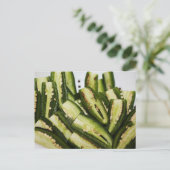 ハラペーニョの半分 ポストカード (スタンド正面)