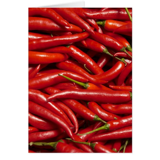 ハラペーニョ (正面)