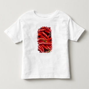 ハラペーニョ トドラーTシャツ