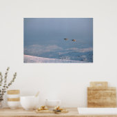 ハリアージャンプジェット ポスター (キッチン)