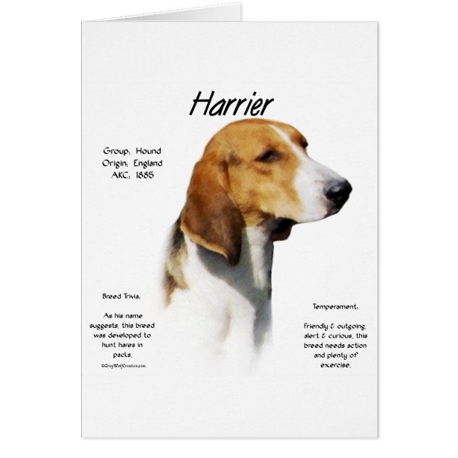 ハリアー履歴デザイン (正面)