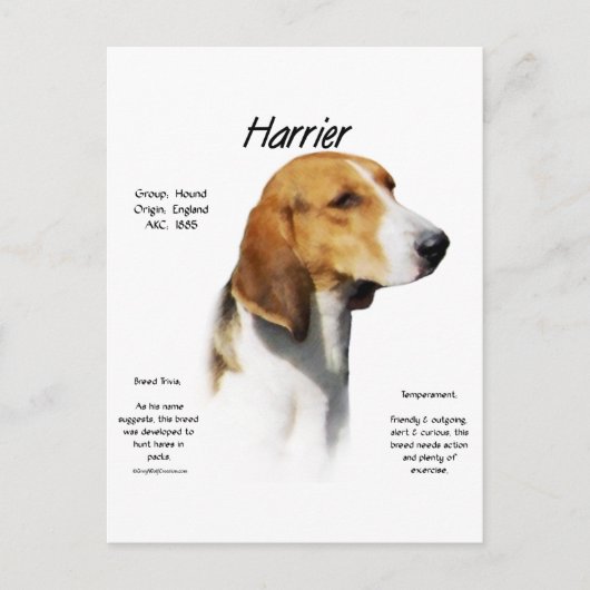 ハリアー履歴デザイン ポストカード (正面)