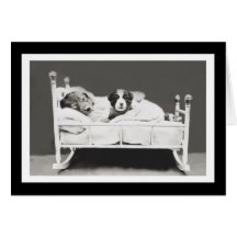 ハリアーWhittierによるかわいい睡眠犬は放します