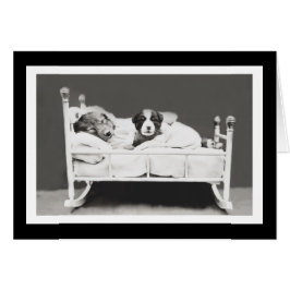 ハリアーWhittierによるかわいい睡眠犬は放します