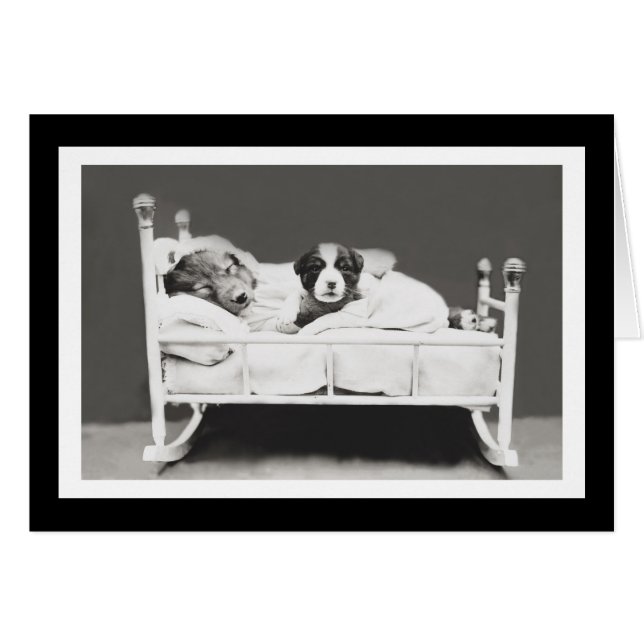 ハリアーWhittierによるかわいい睡眠犬は放します (正面横)