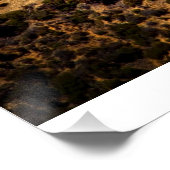 ハリウッドの幽霊 ポスター (コーナー)