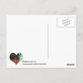 ハリウッドはがき！ ポストカード (裏面)