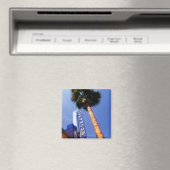 ハリウッドブルバード、ロサンゼルス マグネット (インサイチュ (食洗機))