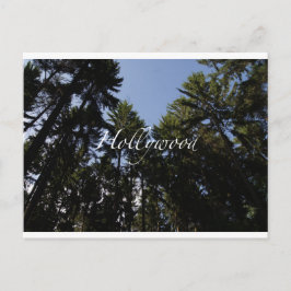 ハリウッド – グリーティングカード ポストカード