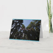 ハリウッド – グリーティングカード – Karte (正面)