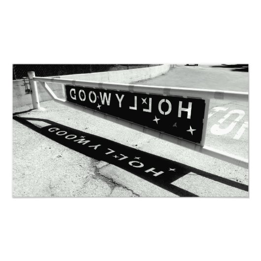 ハリウッド フォトプリント            (正面)