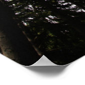 ハリウッド ポスター (角)