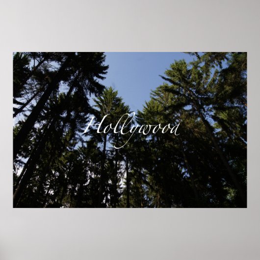ハリウッド ポスター (正面)