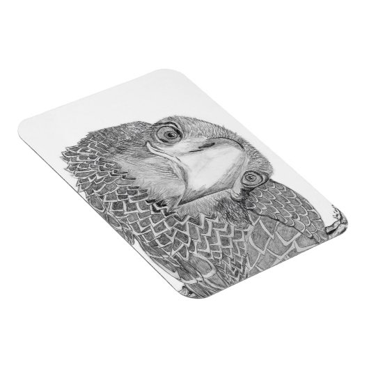 ハリエオジーMホームストーリーオブファミリーツリーE9 CAM マグネット (右側)