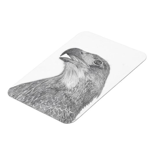 ハリエオジーMホームストーリーオブファミリーツリーE9 LOVE マグネット (左側)