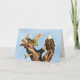 ハリエットおよび鳩 シーズンカード