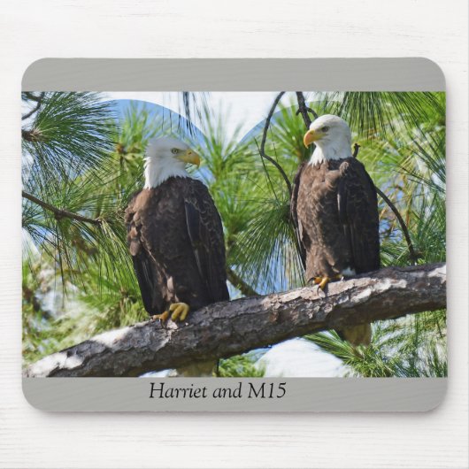 ハリエットおよびM15愛 マウスパッド (正面)