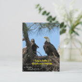 ハリエットイーグル家族の鳥フロリダポストカード ポストカード (スタンド正面)