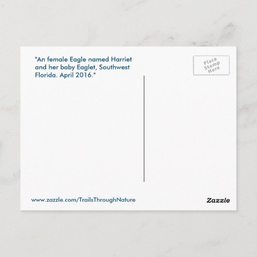 ハリエットイーグル家族の鳥フロリダポストカード ポストカード (裏面)