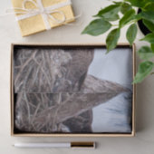 ハリエット、M及びE9ティッシュペーパー 薄葉紙 (ギフト)