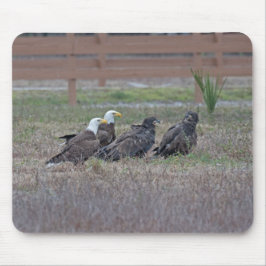 ハリエットM15 E10およびE11 マウスパッド