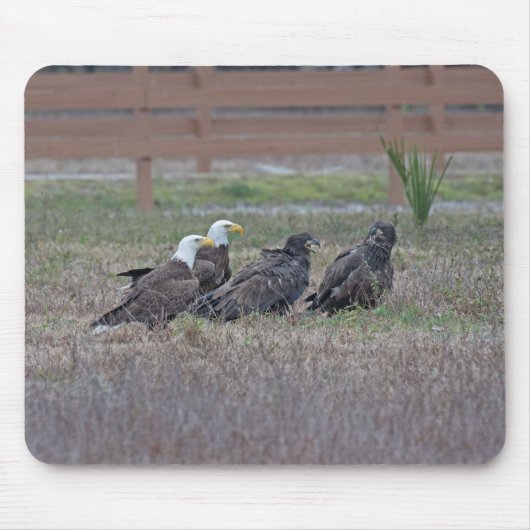 ハリエットM15 E10およびE11 マウスパッド (正面)