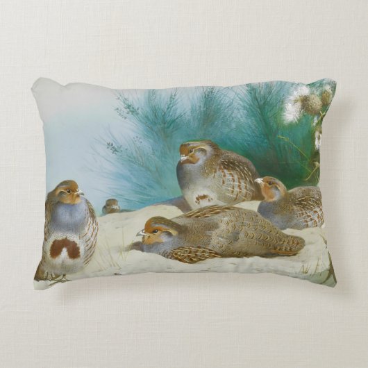 ハリエニシダとゴマとアザミ アクセントクッション (正面)