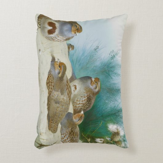 ハリエニシダとゴマとアザミ アクセントクッション (正面(垂直))