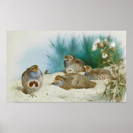 ハリエニシダとゴマとアザミ ポスター (正面)