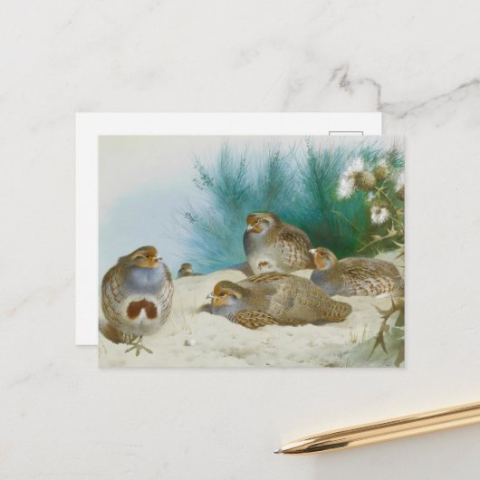 ハリエニシダとゴマとアザミ ポストカード (正面/裏面インサイチュ)