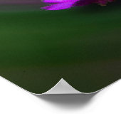 ハリケーンの中の雑草 ポスター (角)