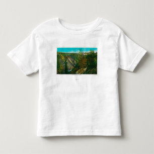 ハリケーンの渓谷橋、アラスカの眺め トドラーTシャツ