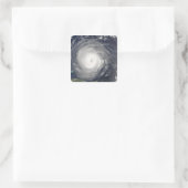 ハリケーンイザベル スクエアシール (バッグ)