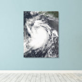 ハリケーンエルダ キャンバスプリント (インサイチュ (ウッドフロア))