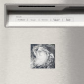 ハリケーンエルダ マグネット (インサイチュ (食洗機))